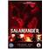 Salamander: The Complete Season One [DVD] [2012]